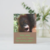 Fun Moving Change New Address Ankündigung (Stehend Vorderseite)