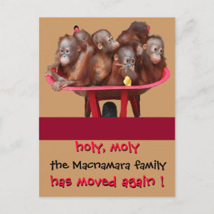 Fun Moving New Address Ankündigung