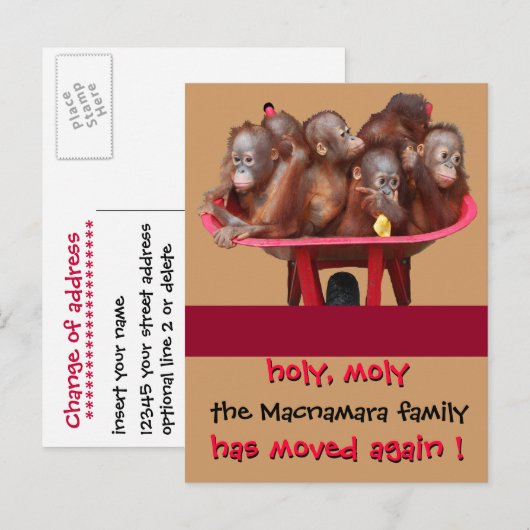 Fun Moving New Address Ankündigung (Vorne/Hinten)