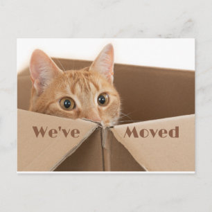 Fun Neue Adresse Erinnerung, neue Zuhause Postkart Ankündigungspostkarte