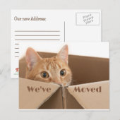 Fun Neue Adresse Erinnerung, neue Zuhause Postkart Ankündigungspostkarte (Vorne/Hinten)