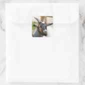 FUN NIEDLICH GOAT QUADRATISCHER AUFKLEBER (Tasche)