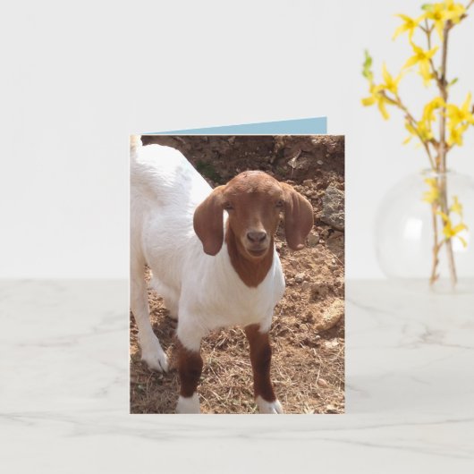 Fun notecards karte (Gelbe Blume)