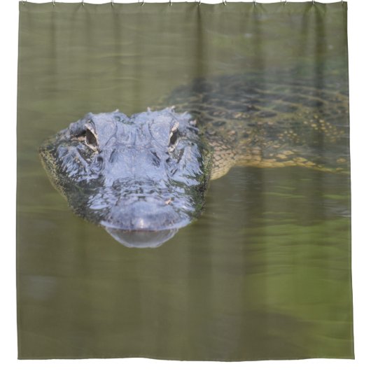 Fun Novelty Aligator Samp Gator Wildlife Animal Duschvorhang (Vorderseite)