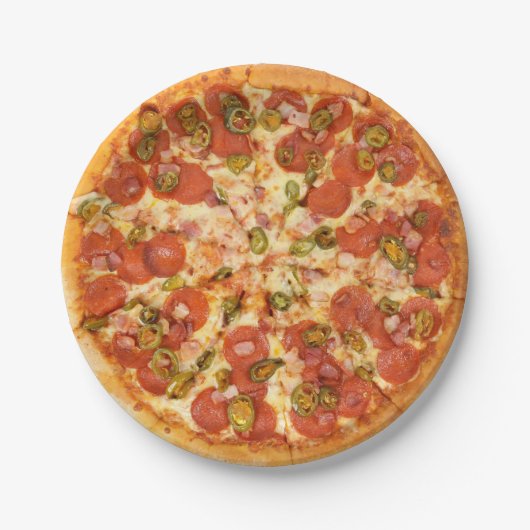 Fun Novelty Cool Cheese Pizza Grill Party Food Pappteller (Vorderseite)