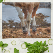 Fun Palomino Paint Ranch Pferd Tierliebhaber Foto Handtuch (Gefaltet)