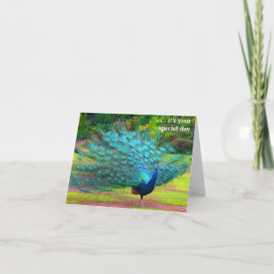 Fun Peacock Birthday Card Karte