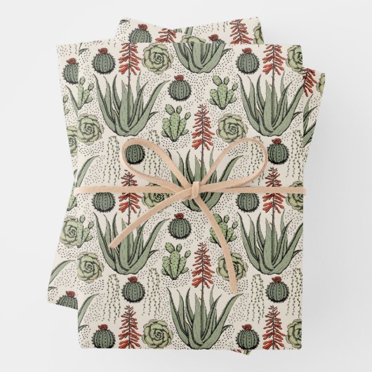 Fun Pflanze Lover Aloe Vera Pflanze Succulents Cac Geschenkpapier Set (Beispiel)