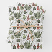 Fun Pflanze Lover Aloe Vera Pflanze Succulents Cac Geschenkpapier Set (Beispiel)
