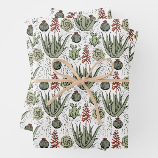 Fun Pflanze Lover Aloe Vera Pflanze Succulents Cac Geschenkpapier Set (Beispiel)