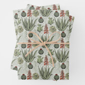 Fun Pflanze Lover Aloe Vera Pflanze Succulents Cac Geschenkpapier Set (Beispiel)