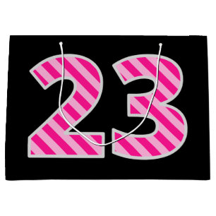 Fun Pink Striped "23"; Happy 23. Geburtstag; Name Große Geschenktüte