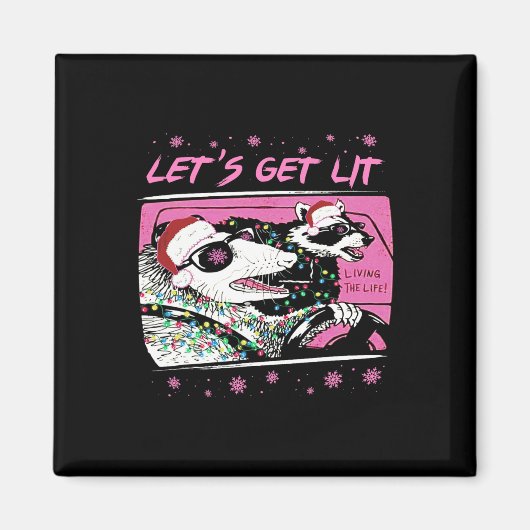 Fun Possum Raccoon Lasse Trash Street Pink Chri Magnet (Vorne)