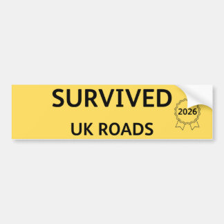 Fun Pothole Bumper Sticker SURVIVED UK ROADS 2026 Autoaufkleber