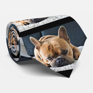 Fun Querky Niedliche Bulldog-Krawatte Krawatte