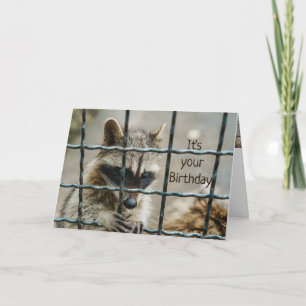 Fun Raccoon, den du mir in die Herz-Liebe genommen Karte