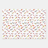 Fun Rainbow Bird Geschenkpapier Set (Vorderseite 2)