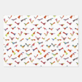 Fun Rainbow Bird Geschenkpapier Set (Vorderseite)