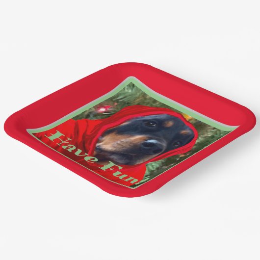 Fun Rottweiler Paper Teller (Gewinkelt)