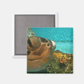 Fun Sea Turtle Selfie Magnet (Vorderseite/Rückseite)