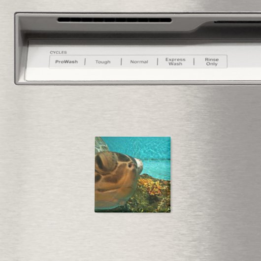 Fun Sea Turtle Selfie Magnet (In Situ (Geschirrspüler))