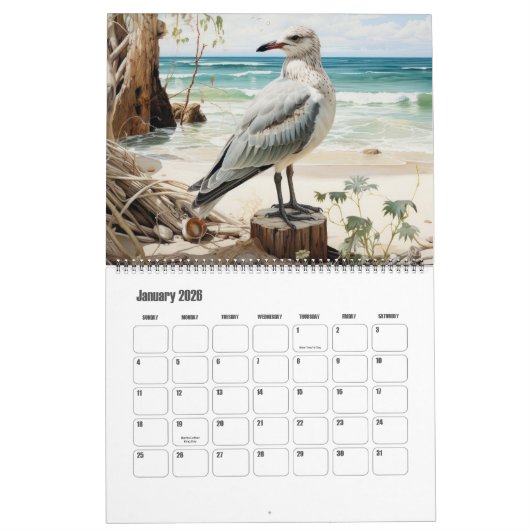 Fun Seagull Art Coastal Kalender (Jan 2026)