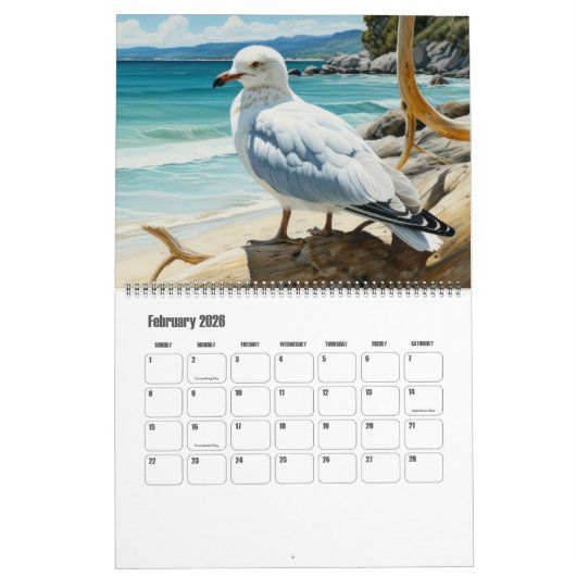 Fun Seagull Art Coastal Kalender (Feb 2026)