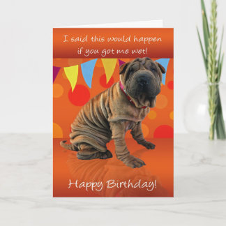 Fun Shar Pei Geburtstagskarte mit Geburtstags-Spaß Karte