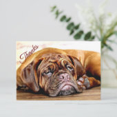 Fun Sleeping Grumpy Hund Tier Danke (Stehend Vorderseite)