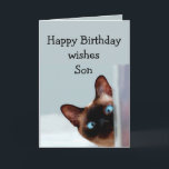 Fun Son Birthday Wishes Siamese Cat Karte<br><div class="desc">Funny Son Birthday Wishes Siamese Cat Animal Humor you up.   Perfect for that Son in your life with a sense of humor,  a love of cats and a birthday</div>