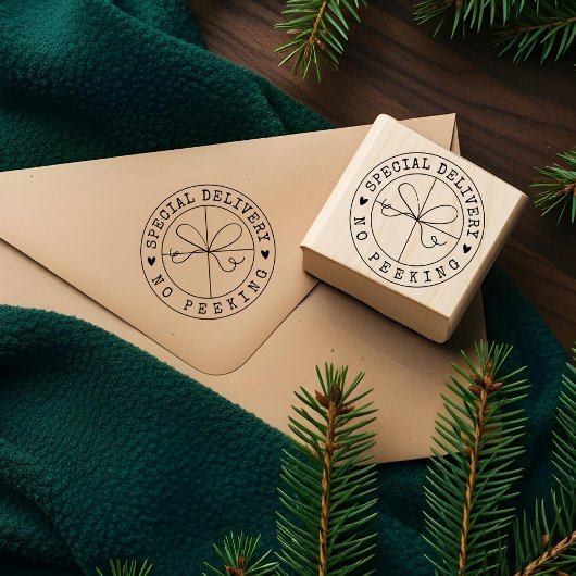 Fun Special Delivery No Peeking Kraft Papier Paket Gummistempel