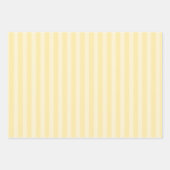 Fun Summer Watermelon Drinks und Popsicles Geschenkpapier Set (Vorderseite 2)