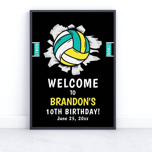 Fun Volleyball Kids Birthday Poster