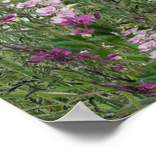 Fun Waterfall Poster (Ecke)