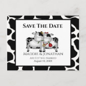 Fun Wedding Cows Save the Date Postkarte (Vorderseite)