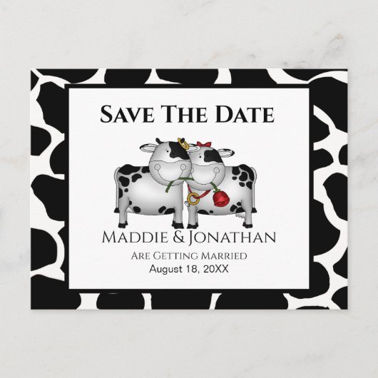 Fun Wedding Cows Save the Date Postkarte (Vorderseite)