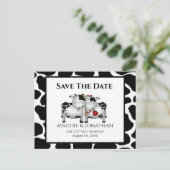 Fun Wedding Cows Save the Date Postkarte (Stehend Vorderseite)