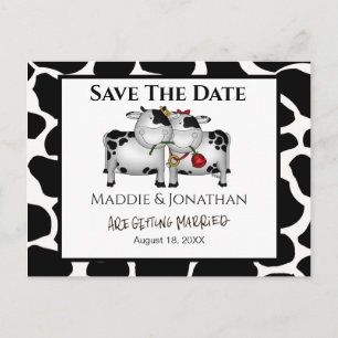 Fun Wedding Cows Save the Date Postkarte