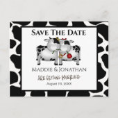 Fun Wedding Cows Save the Date Postkarte (Vorderseite)