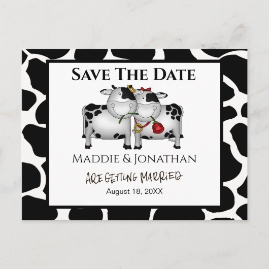 Fun Wedding Cows Save the Date Postkarte (Vorderseite)