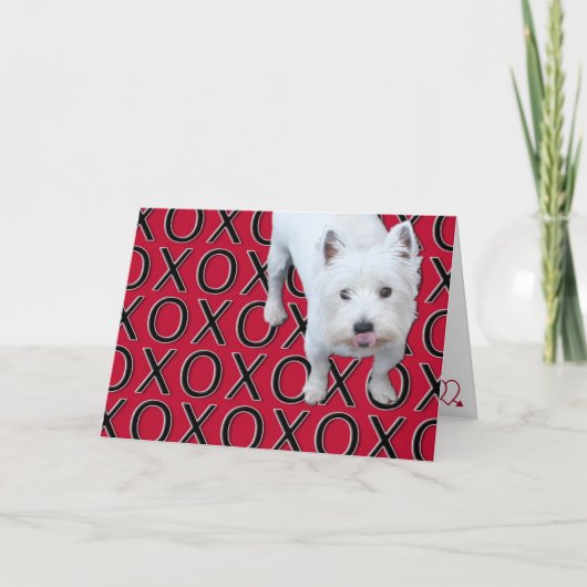Fun Westie Valentine Card Feiertagskarte (Vorderseite)