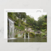 Funchal Garden, Madeira, Portugal Postkarte (Vorne/Hinten)