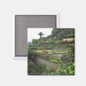 Funchal, Madeira, Portugal Magnet (Vorderseite/Rückseite)