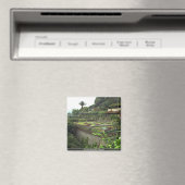 Funchal, Madeira, Portugal Magnet (In Situ (Geschirrspüler))