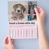 Fund Hund Flyer (Hand)