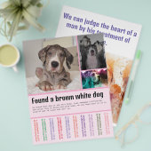 Fund Hund Flyer (Vorderseite & Rückseite)