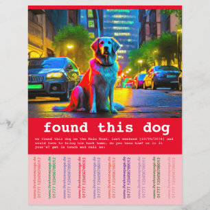 Fundhund  flyer