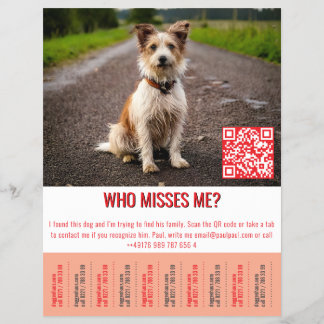 Fundhund-Vorlage Tippen Flyer