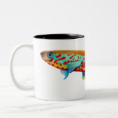 Fundulopanchax Gardneri Killifish-Tasse Zweifarbige Tasse (Links)