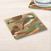 Fünf bunte Haustier-Vögel gehockt auf einer Rechteckiger Pappuntersetzer (angewinkelt)